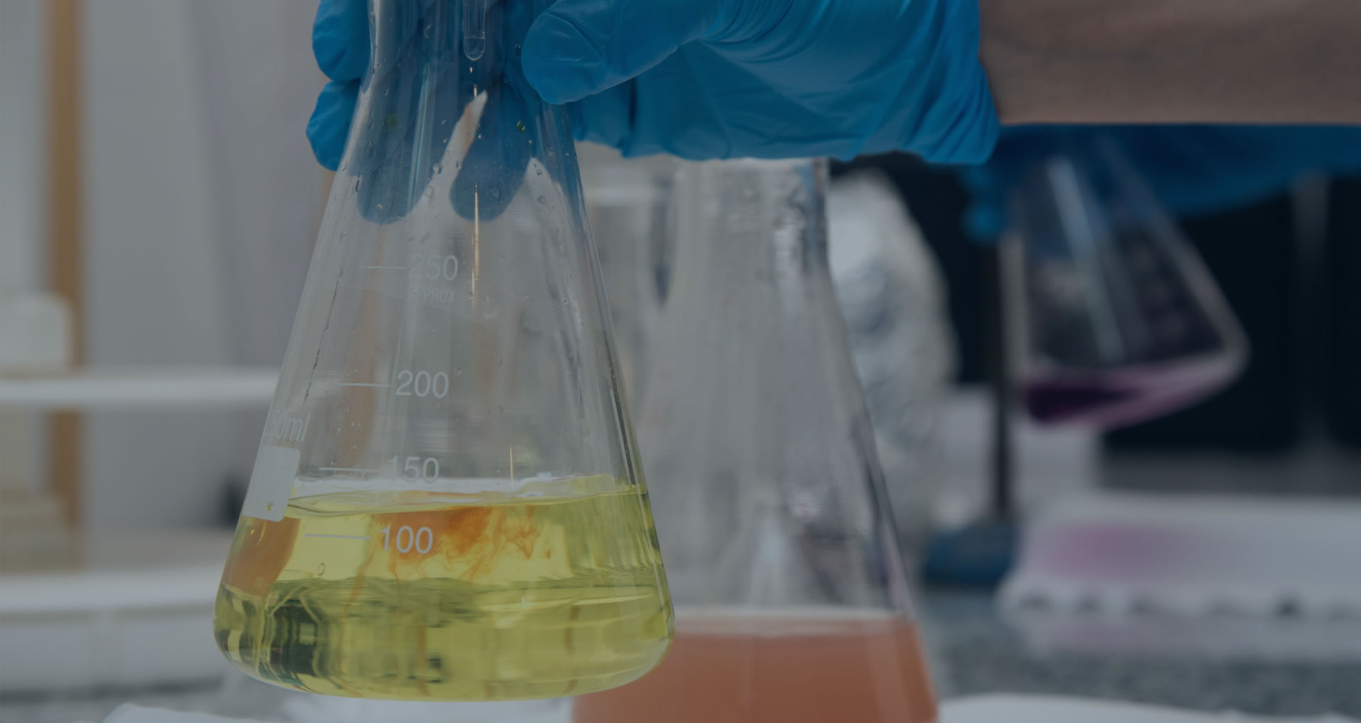 Laboratorio Ambiental Pehuen
