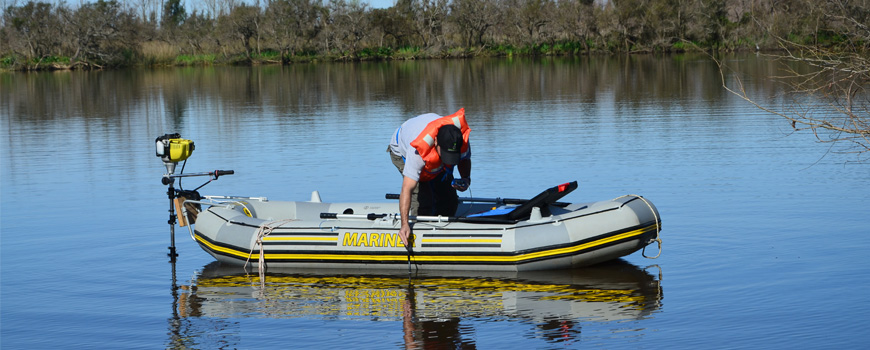 Servicios Ambiental Pehuen